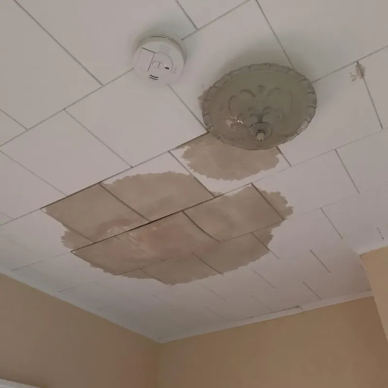 Ceiling Water Damage Repair in Pleasant Hill, IA