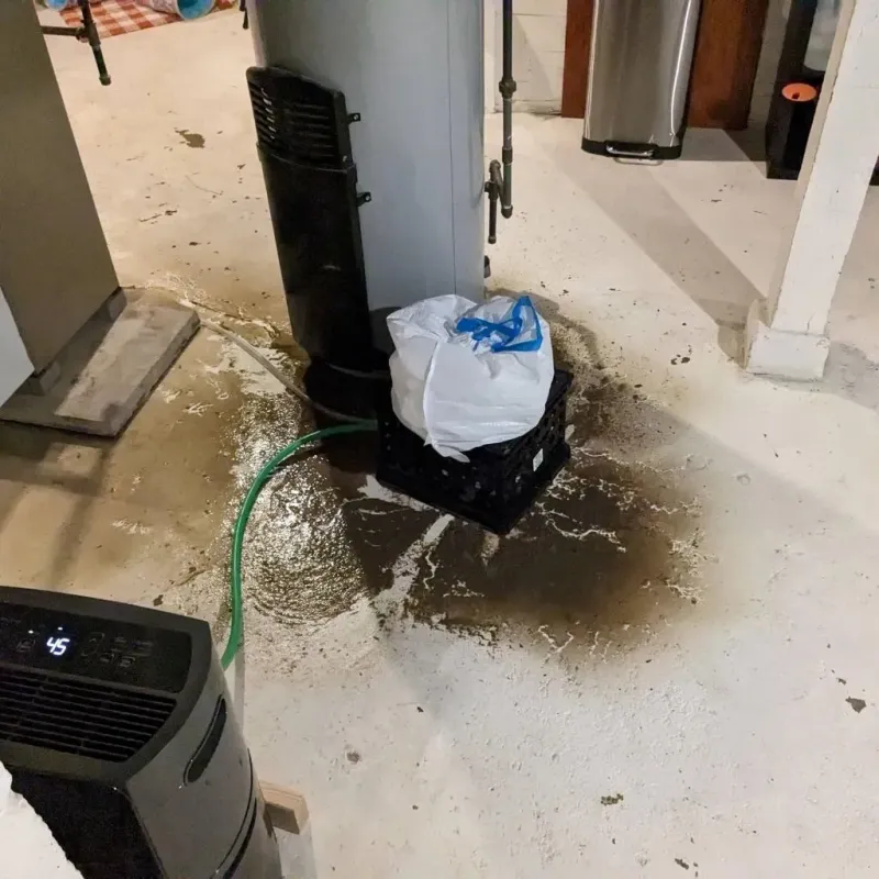 Sewage Backup Cleanup Service in Pleasant Hill, IA